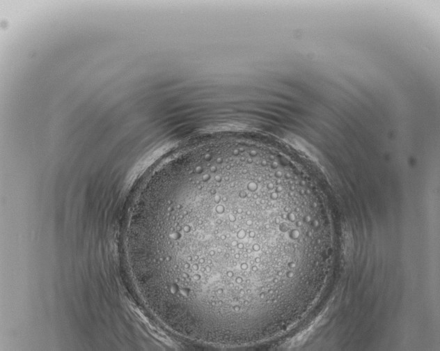 X0000060770921200511171209