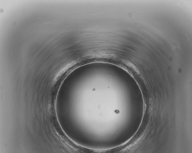 X0000060770922200511171209