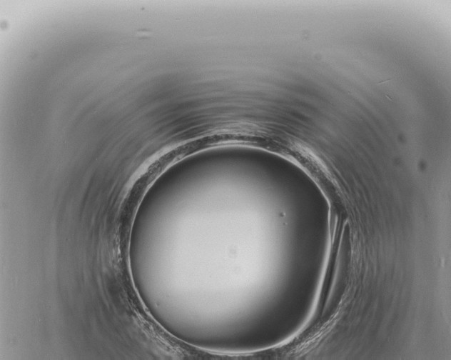 X0000060770923200511171209