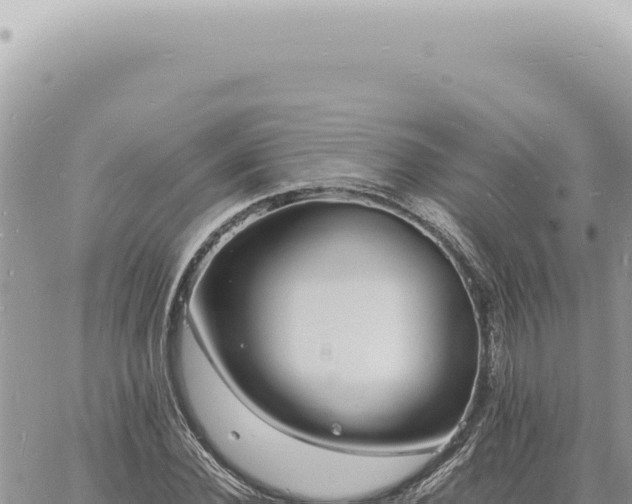 X0000060770924200511171209