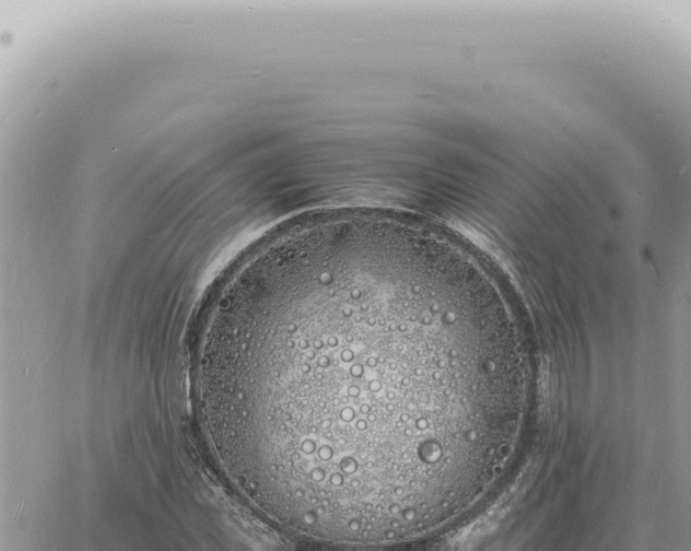 X0000060770925200511171209