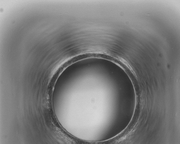 X0000060770926200511171209