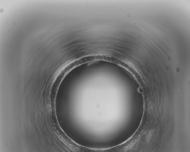 X0000060770927200511171209