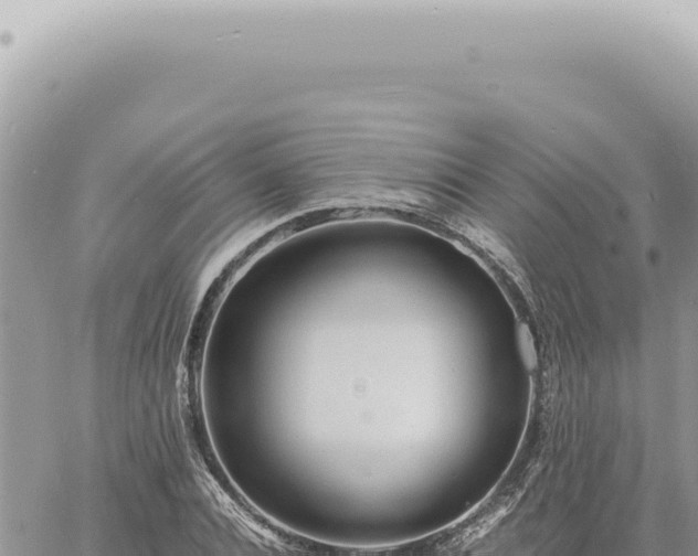 X0000060770928200511171209