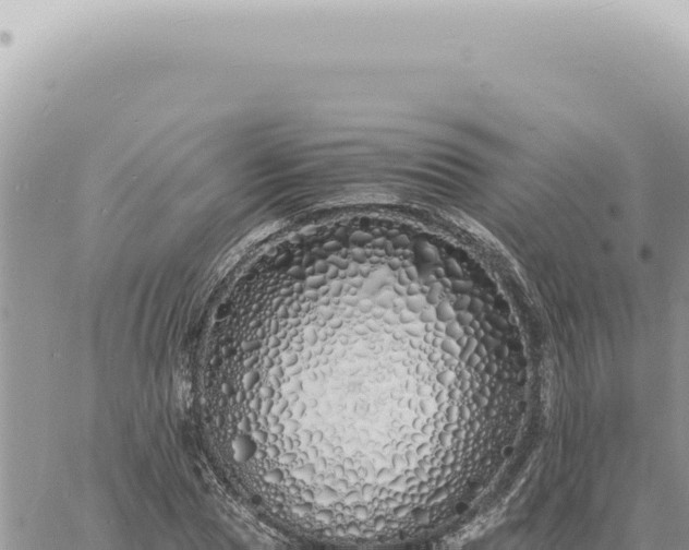 X0000060770929200511171209