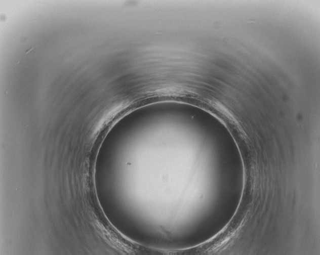 X0000060770930200511171209