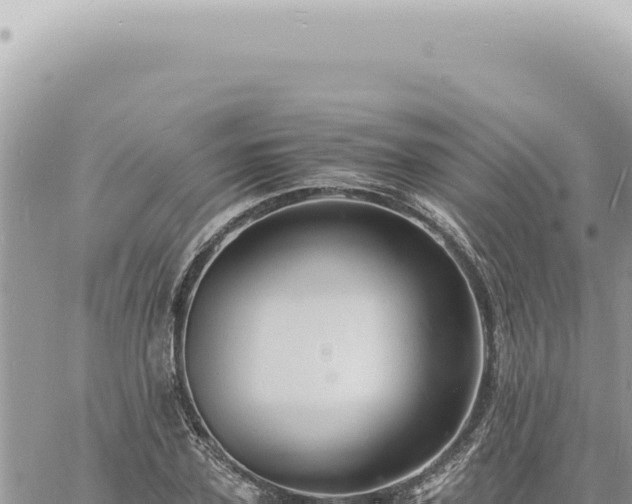 X0000060770931200511171209