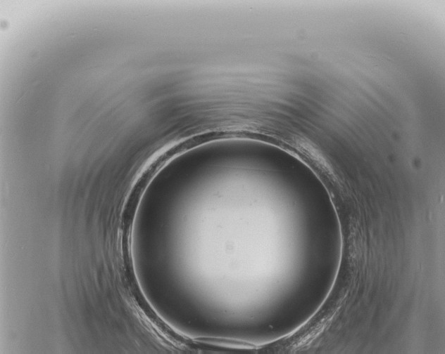 X0000060770932200511171209