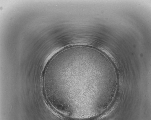 X0000060770933200511171209