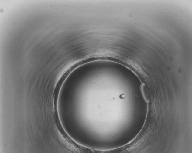 X0000060770934200511171209