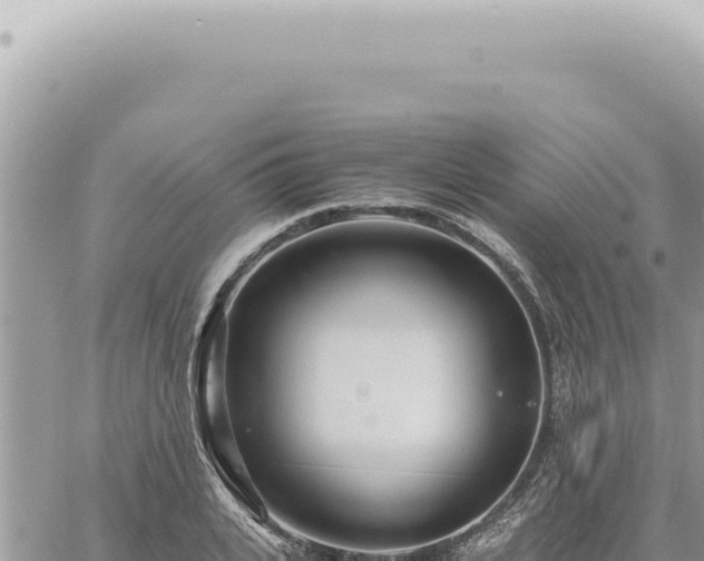 X0000060770935200511171209