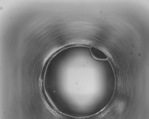 X0000060770936200511171209