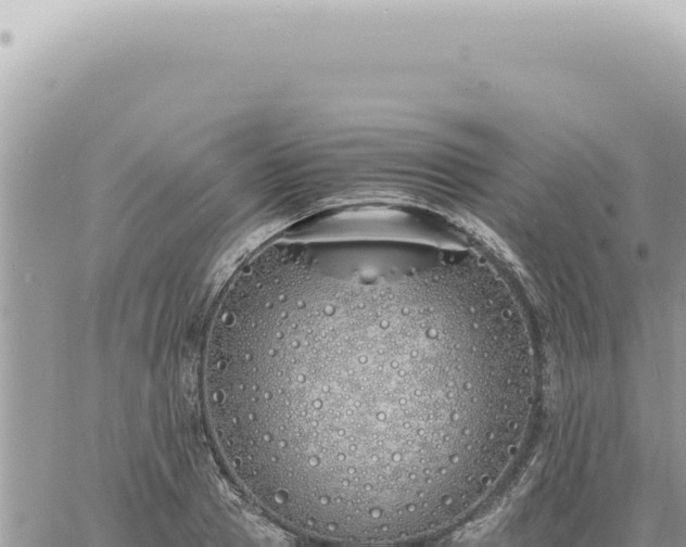 X0000060770937200511171209