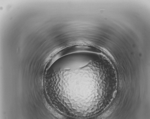 X0000060770938200511171210