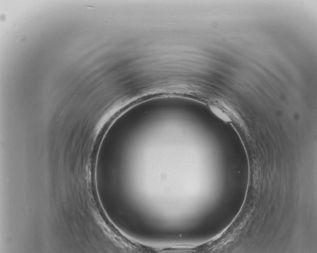 X0000060770944200511171210