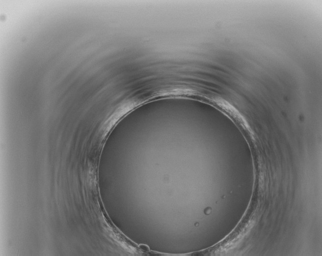 X0000060770945200511171210