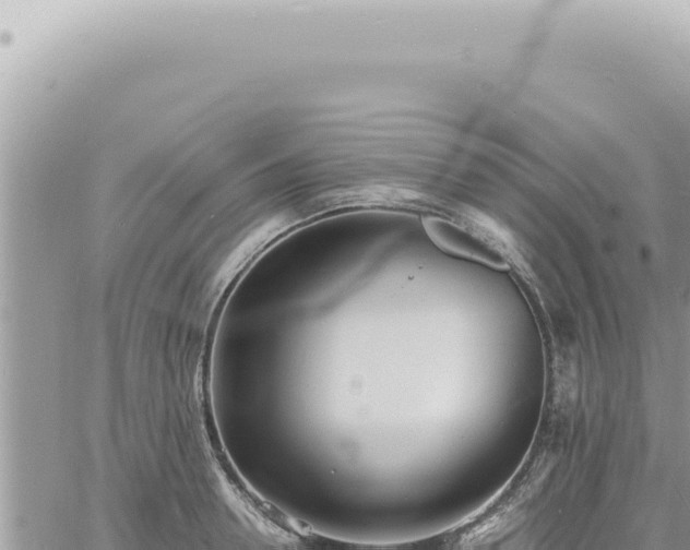 X0000060770946200511171210