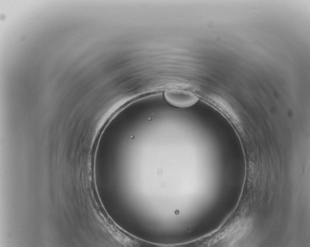 X0000060770948200511171210