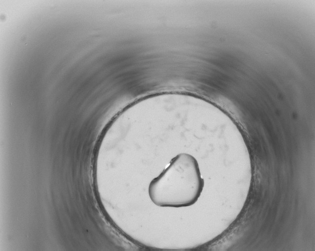 X0000060770950200511171210