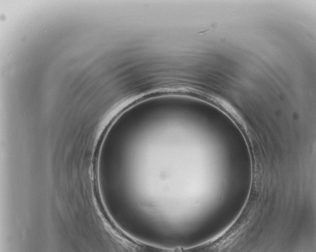 X0000060770951200511171210