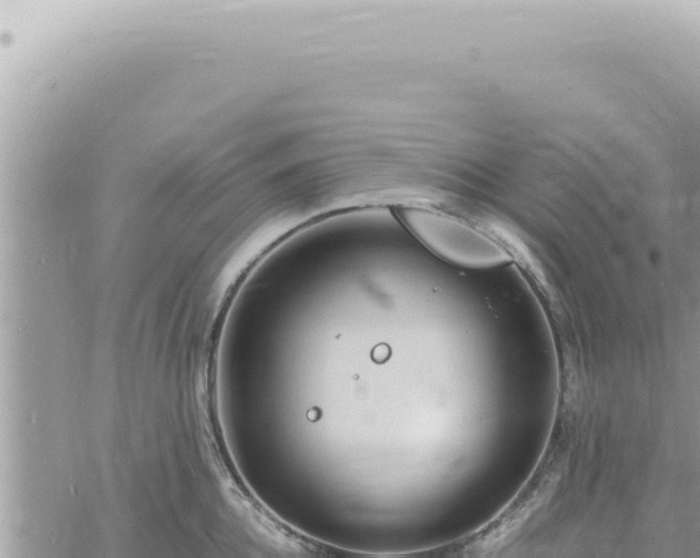 X0000060770952200511171210