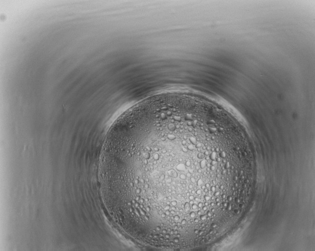 X0000060770953200511171210