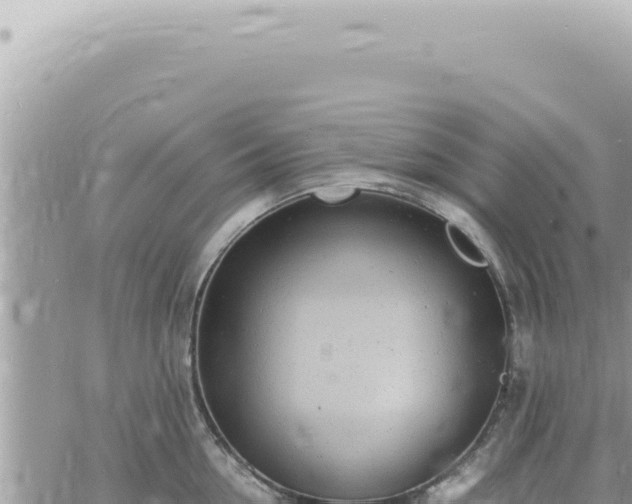 X0000060770954200511171210