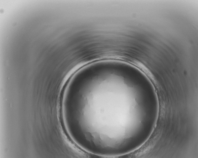 X0000060770955200511171210