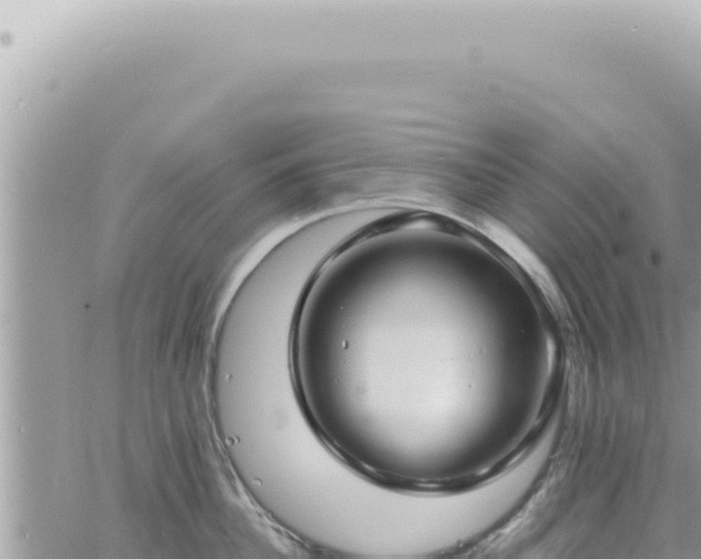 X0000060770956200511171210