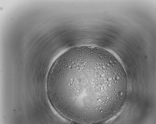 X0000060770957200511171210