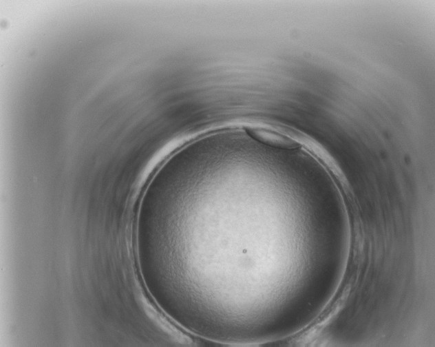 X0000060770958200511171210