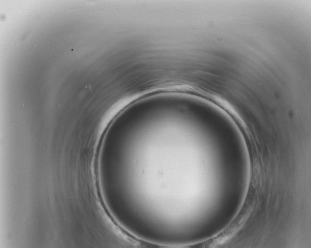 X0000060770959200511171210