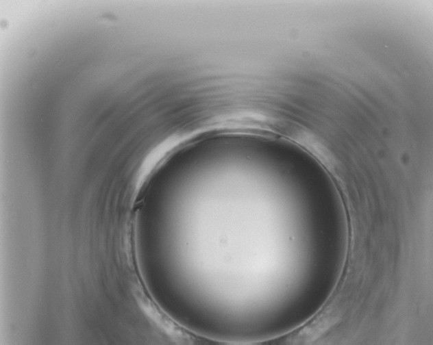 X0000060770960200511171210