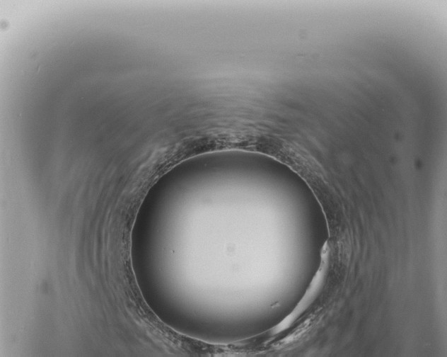 X0000060770961200511171209