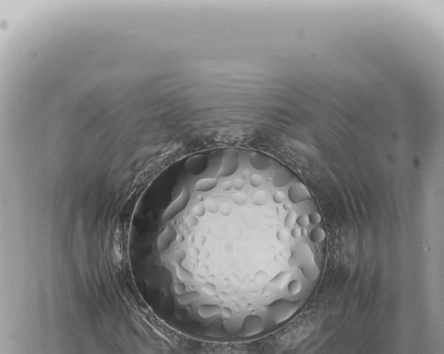 X0000060770962200511171209