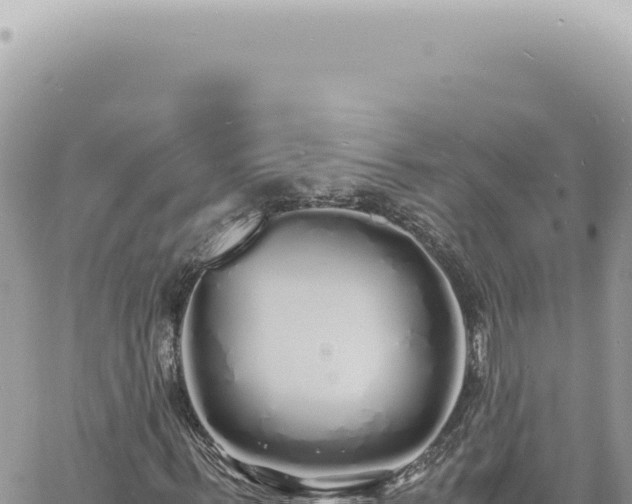 X0000060770963200511171209