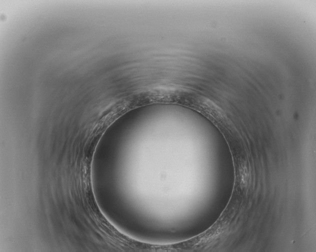 X0000060770964200511171209