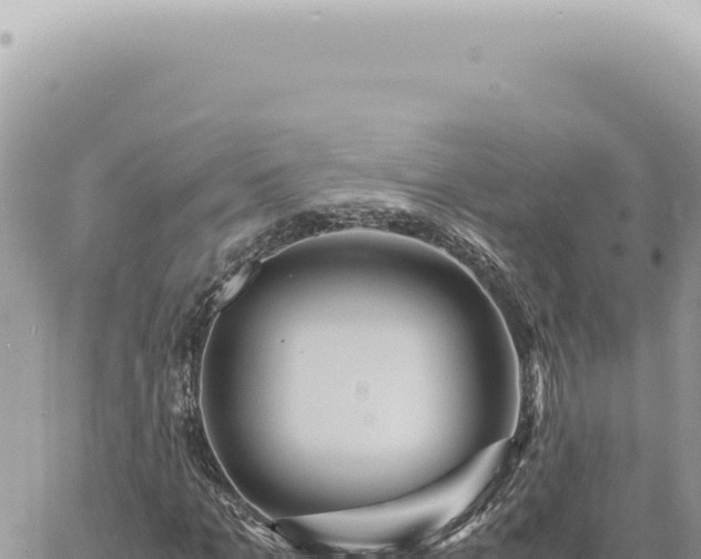 X0000060770965200511171209