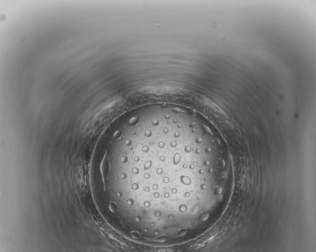 X0000060770966200511171209