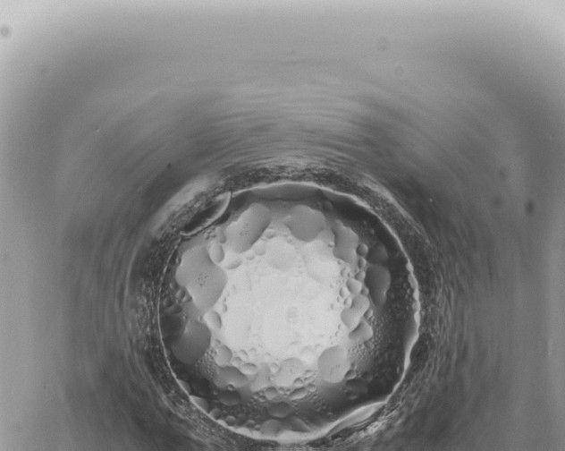 X0000060770967200511171209