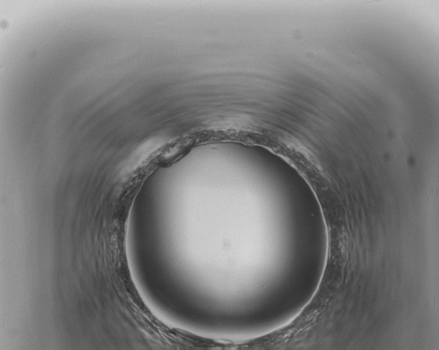 X0000060770968200511171209