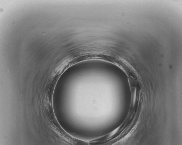 X0000060770969200511171209