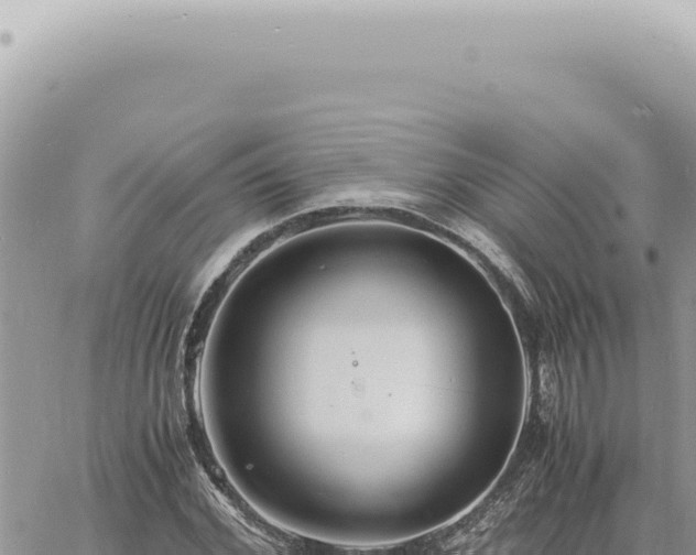 X0000060770972200511171209