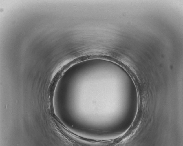 X0000060770973200511171209