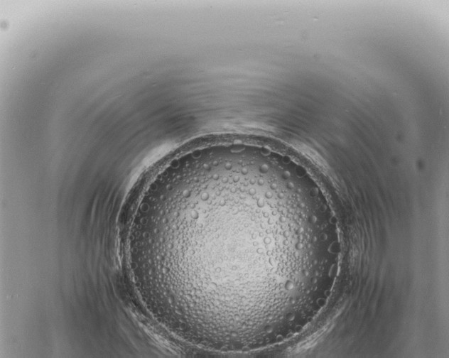 X0000060770974200511171209