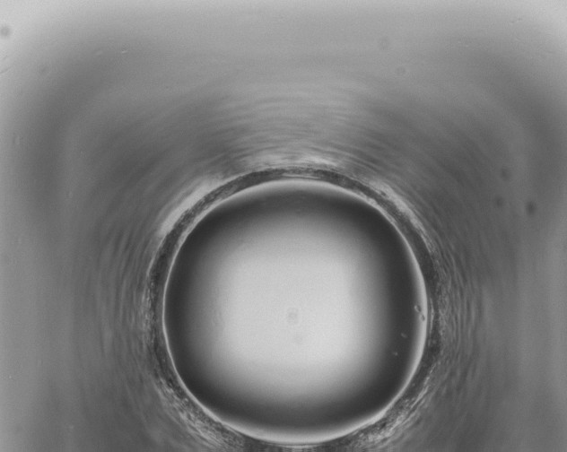 X0000060770975200511171209