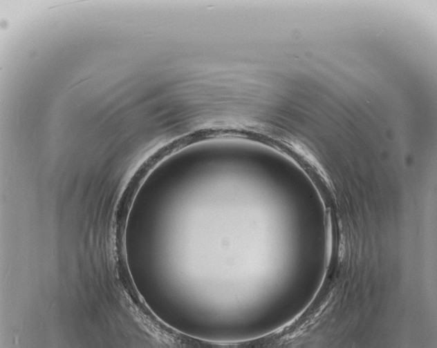 X0000060770976200511171209