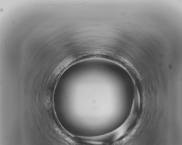 X0000060770977200511171209