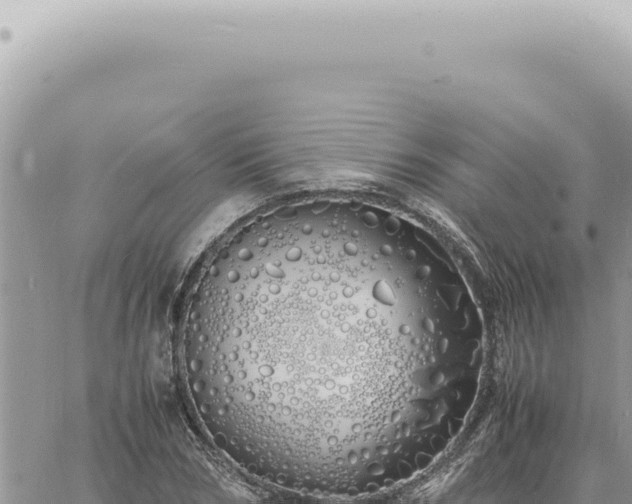 X0000060770978200511171209