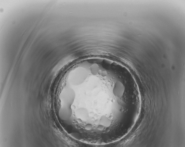 X0000060770979200511171209